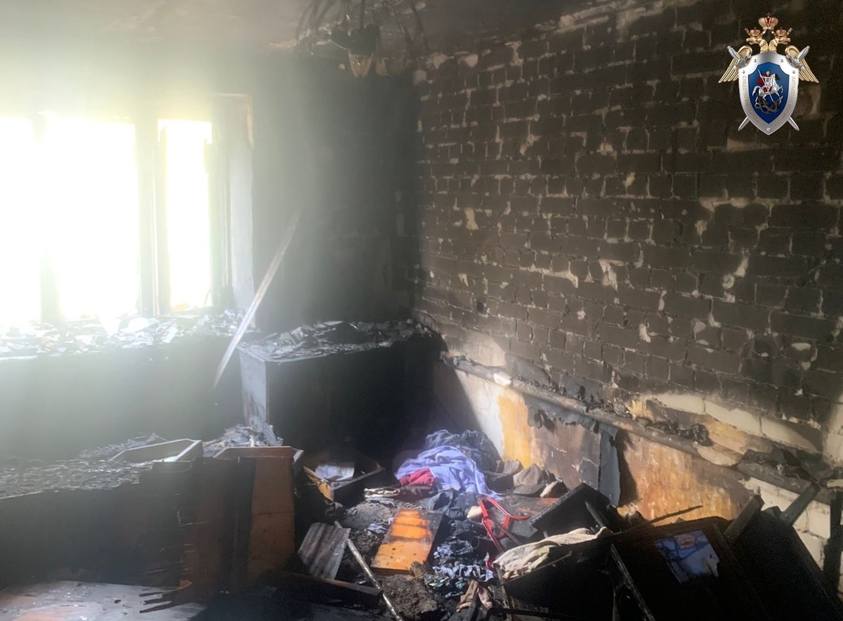 Следователи выясняют причины гибели пенсионерки на пожаре в Сормове - фото 1
