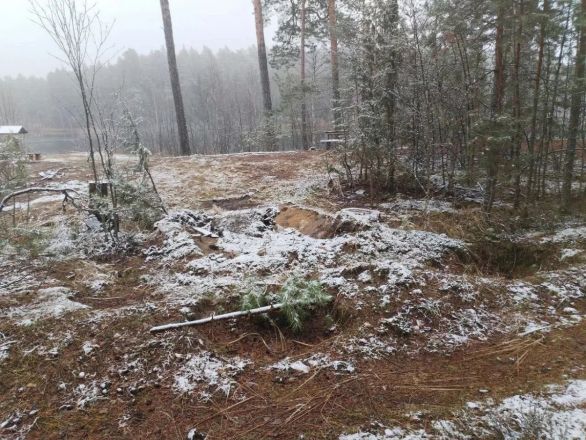 Незаконные постройки нашли в нижегородском национальном парке - фото 3