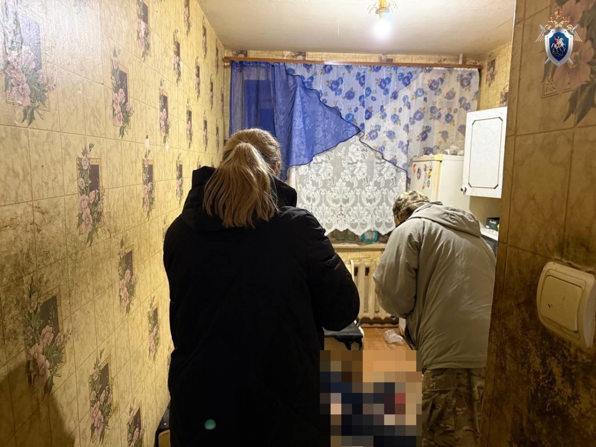 Женщина зарезала сожителя в ходе ссоры в Нижегородской области - фото 1