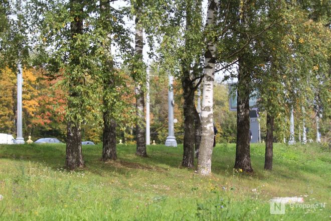 Здесь был кинотеатр: как выглядит площадка под КРТ на проспекте Гагарина в Нижнем Новгороде - фото 20