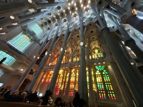 Морские гады, руины и потрясающий климат: вся правда о путешествии Барселона &mdash; Рим - фото 53