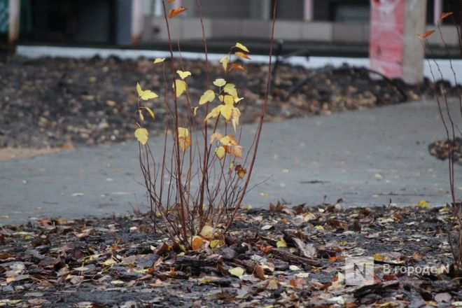 Затянувшееся преображение: благоустройство в Нижегородском районе не успели закончить в срок - фото 40