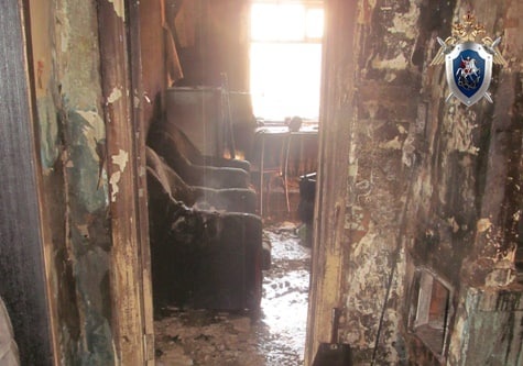 Мужчина сгорел в собственном доме в Шахунье - фото 1