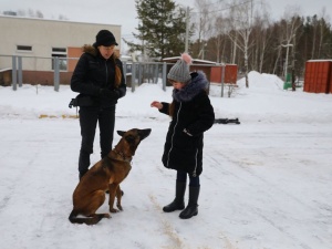 Девочка из Арзамаса побывала в кинологическом центре благодаря «Елке желаний»