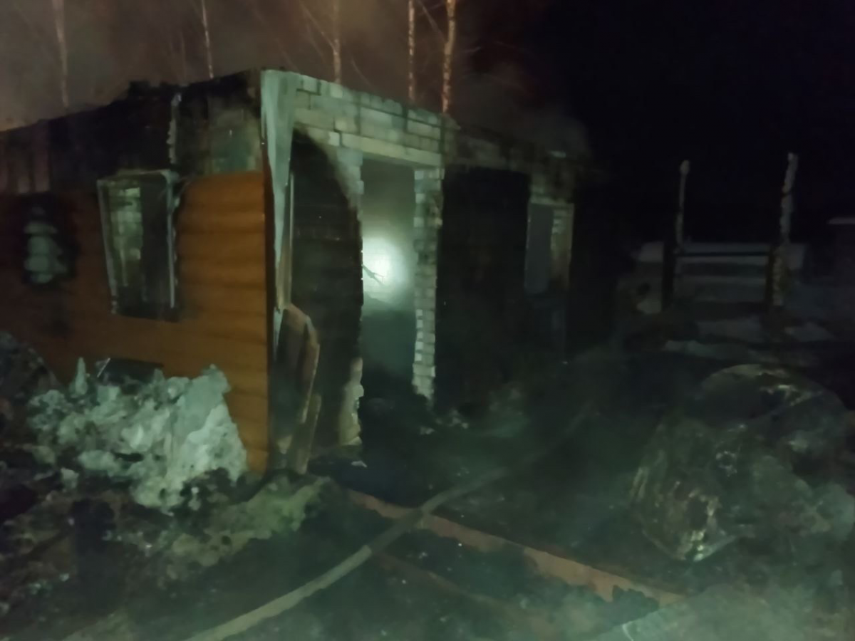 Трое детей погибли в ночном пожаре в деревне Нечаево  - фото 1