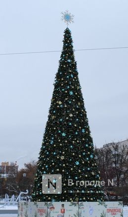Новогоднюю елку установили на площади Горького в Нижнем Новгороде - фото 3
