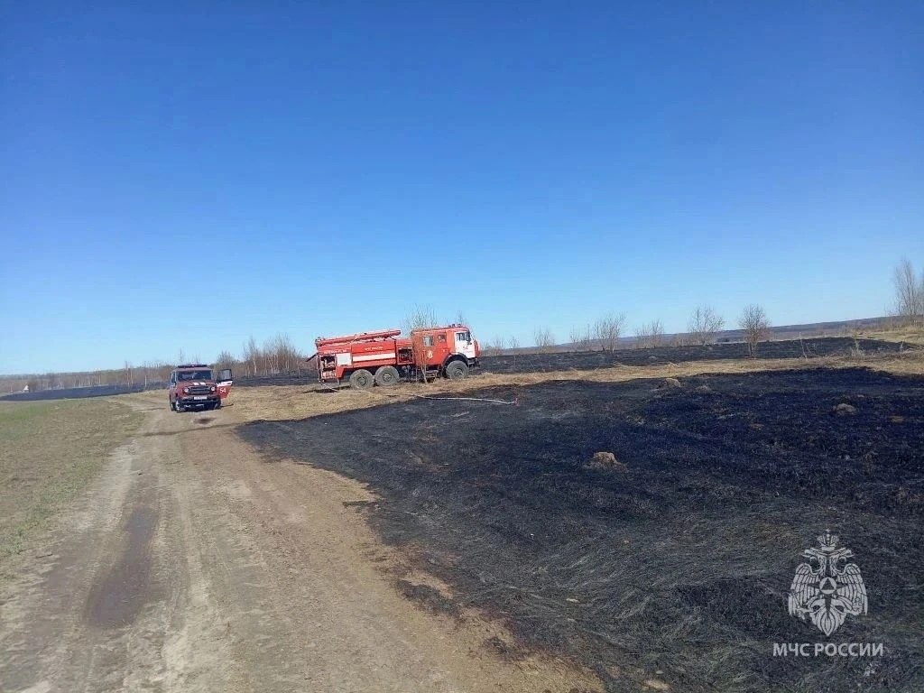 Первое возгорание сухой травы произошло в Нижегородской области - фото 1