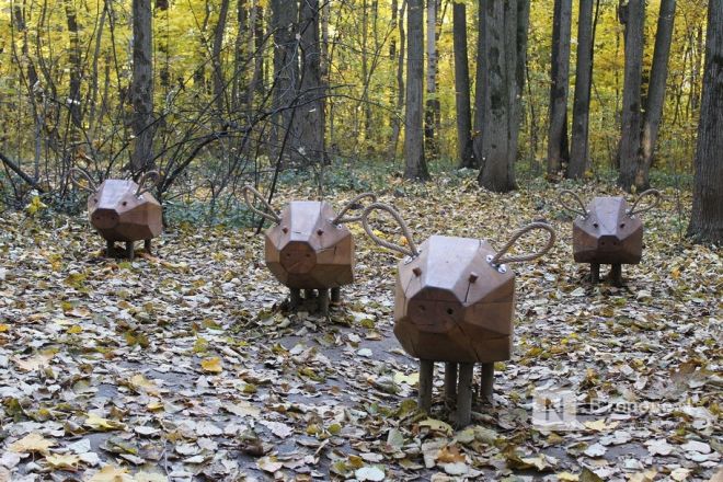 Скульптуры свиней установили в Приокском районе - фото 3