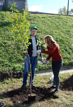 150 деревьев и кустарников украсили набережную Федоровского (ФОТО) - фото 36
