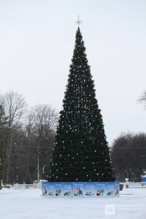 Матрешки, кони и сотни огней: карта самых атмосферных новогодних локаций &mdash; 2026 в Нижнем Новгороде - фото 141