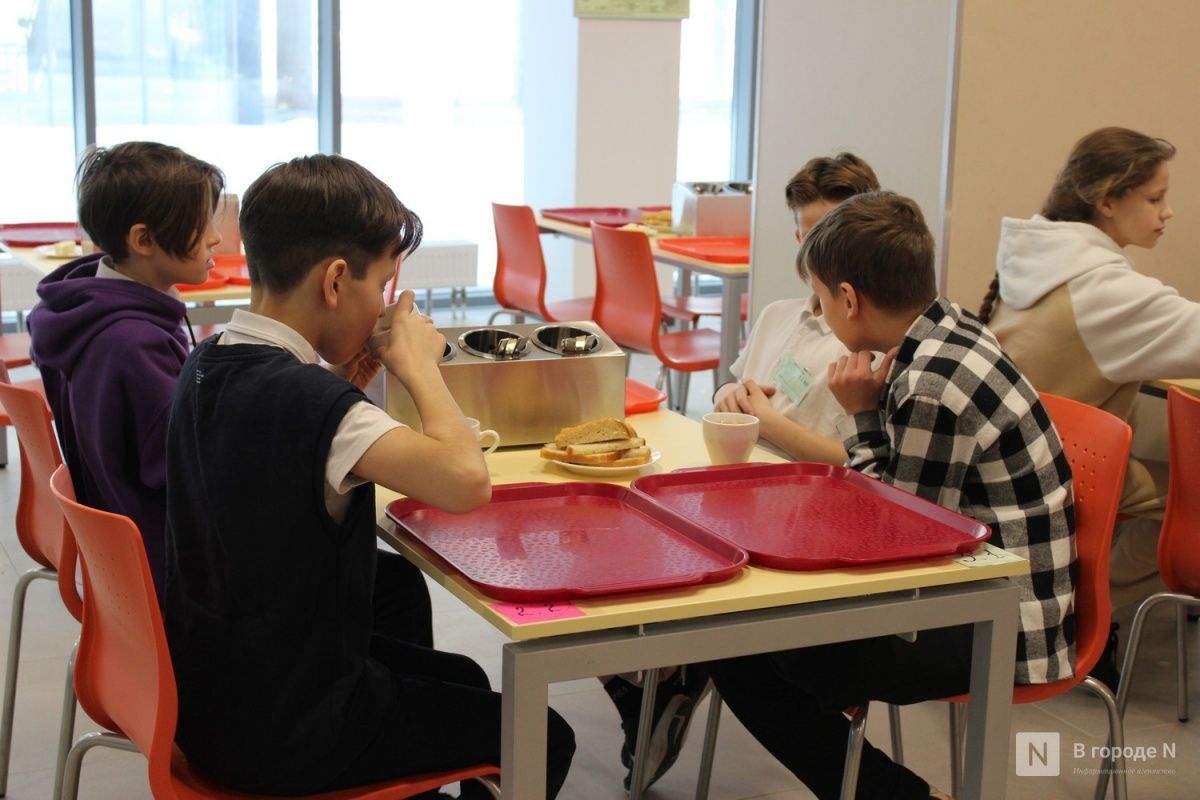 Никитин не поддержал идею о льготном питании школьников из многодетных семей - фото 1