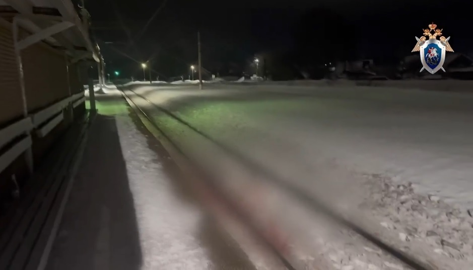 Грузовой поезд насмерть переехал мужчину в Нижегородской области - фото 1