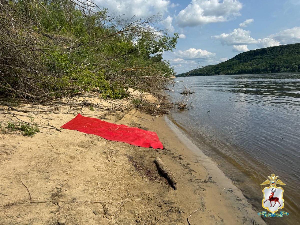 Пенсионер задушил лося в Нижегородской области - фото 1