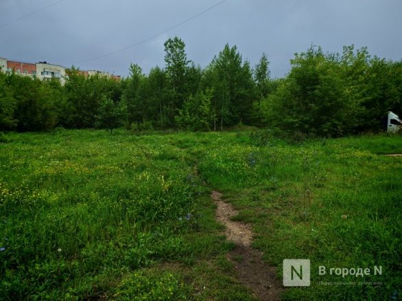 Вторая пошла: как выглядят места, где появится новая канатная дорога в Нижнем Новгороде - фото 17