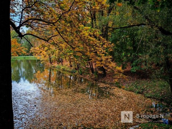 Та самая пушкинская осень: уютный фоторепортаж из Большого Болдина - фото 18