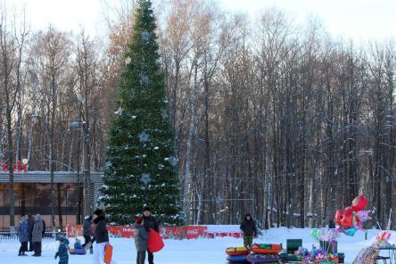 Музыкальная поляна и автодром: что нижегородцы хотят видеть в парке &laquo;Швейцария&raquo;