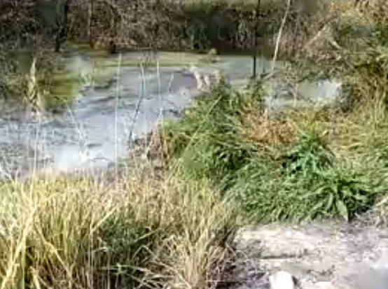 Побелевшее болото в Дзержинске проверят на наличие химикатов