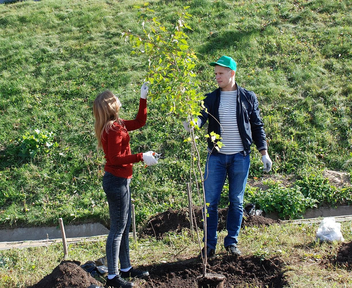 150 деревьев и кустарников украсили набережную Федоровского (ФОТО) - фото 1