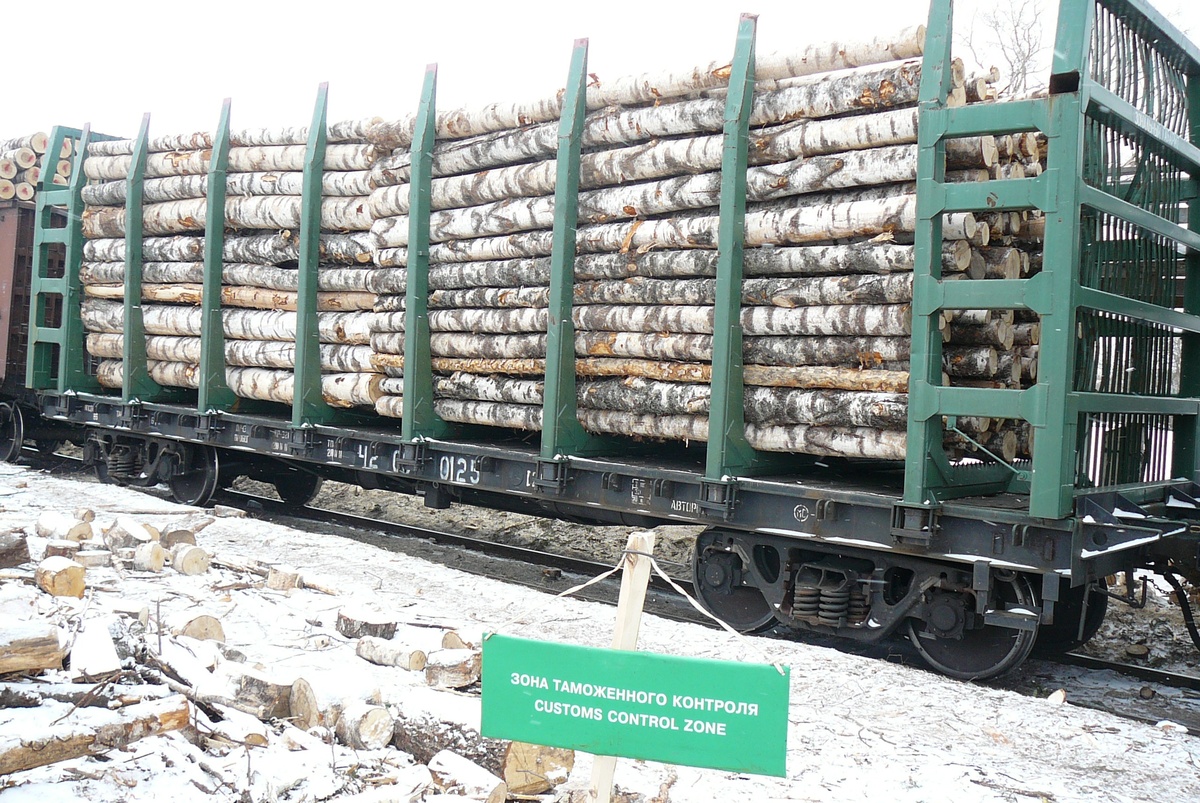 Нижегородские таможенники возбудили дело в отношении кировчанина, вывозившего лес в Китай - фото 1