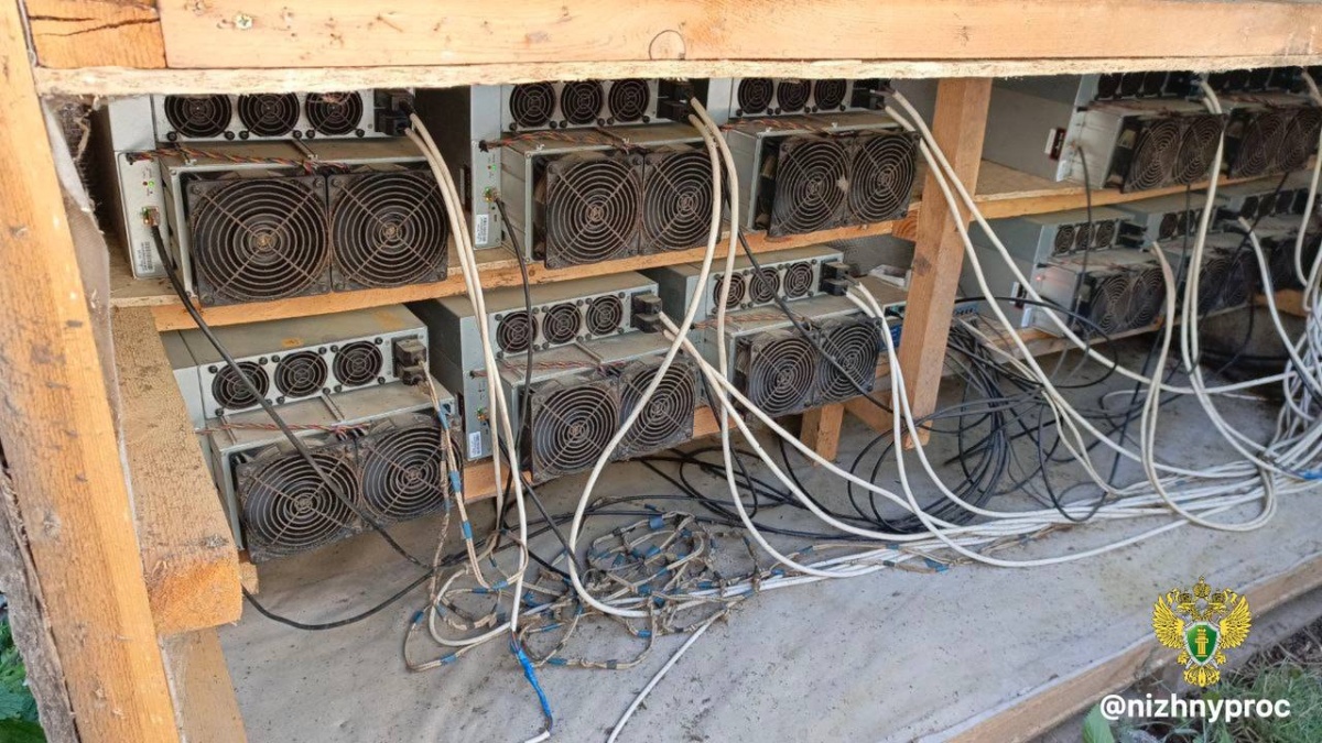 Майнинговую ферму накрыли под Нижним Новгородом - фото 1