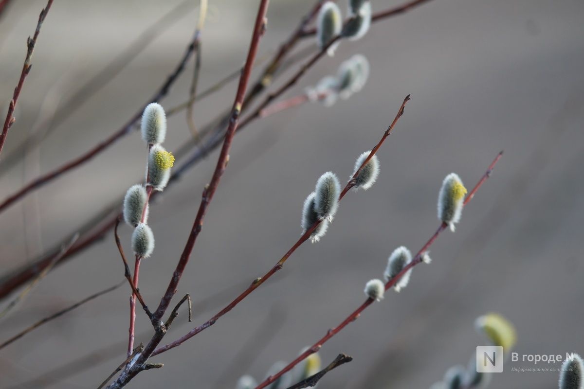 Опубликован прогноз погоды в Нижнем Новгороде на 16 — 22 марта - фото 1