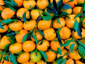Как выбрать самые вкусные мандарины: рекомендации от Росконтроля