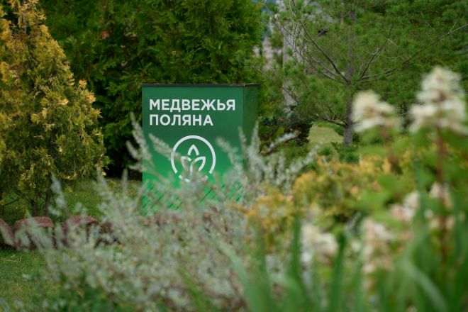 Как бизнес-тур в зеленый питомник объединил застройщиков и стал творческой площадкой: фоторепортаж - фото 11