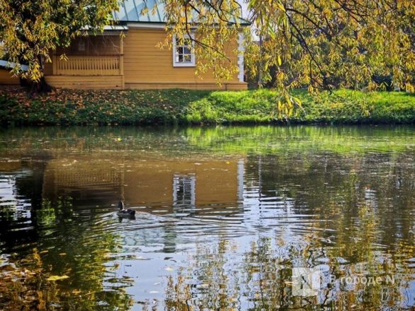 Та самая пушкинская осень: уютный фоторепортаж из Большого Болдина - фото 38