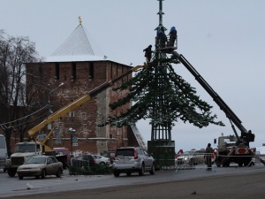 На площади Минина и Пожарского устанавливают елку (ФОТО)