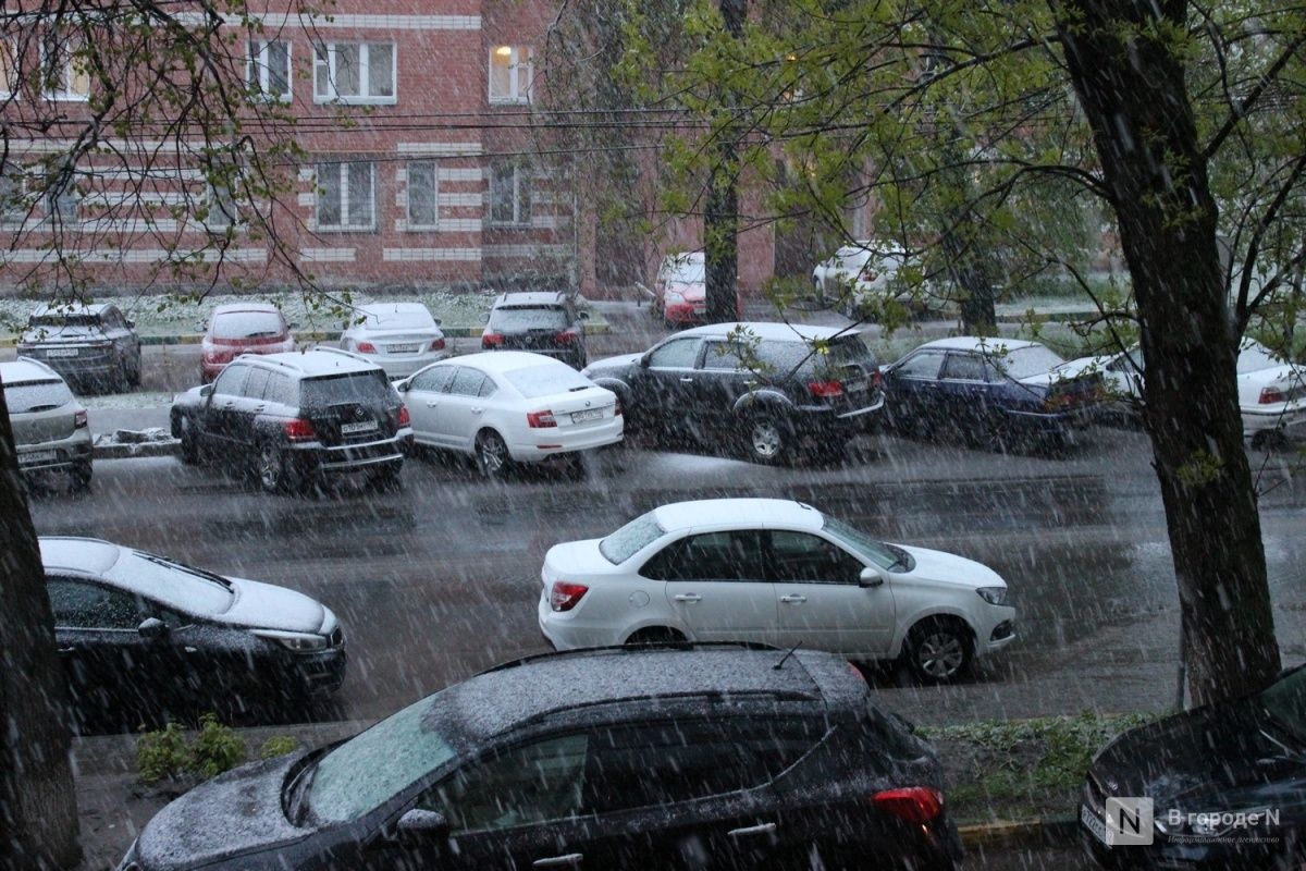 Нижегородская мэрия оценила масштаб последствий майского снегопада - фото 1