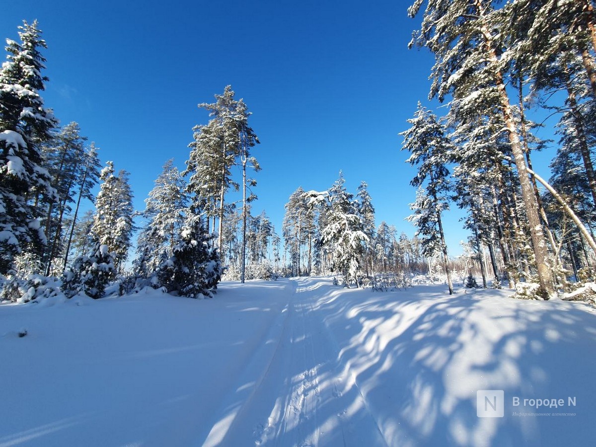 По ощущениям до -38°C: лютые морозы обещают нижегородцам в январе - фото 1