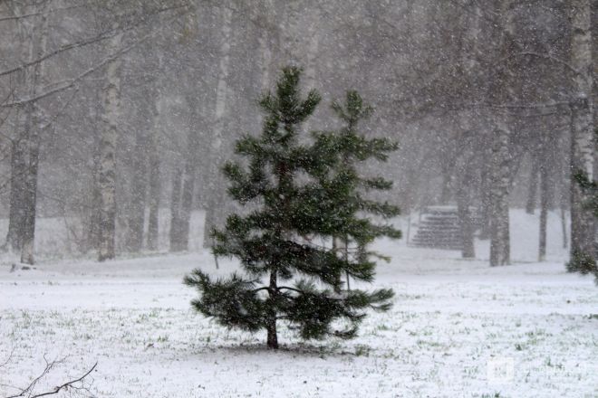 Апрельский апокалипсис в Нижнем Новгороде: фоторепортаж с улиц, заваленных снегом - фото 22