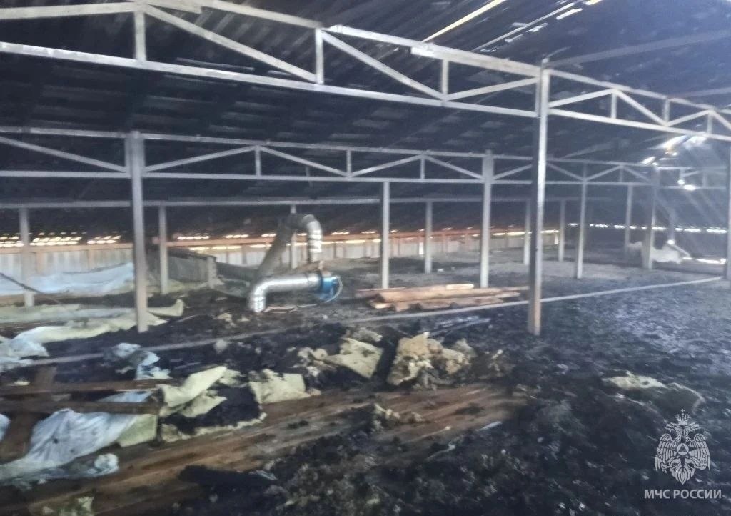 Опубликованы фото пожара на производстве в Нижегородской области - фото 3