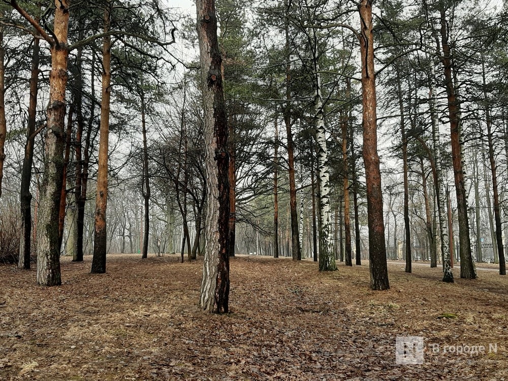 Нижегородский парк «Швейцария» откроется через три месяца