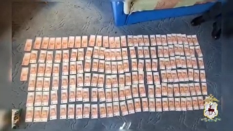 Главу Борского лесничества и работника ФСИН задержали за незаконную рубку леса - фото 3