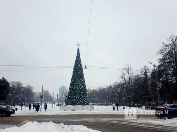 Новогоднюю ель установили на площади Горького в Нижнем Новгороде - фото 2