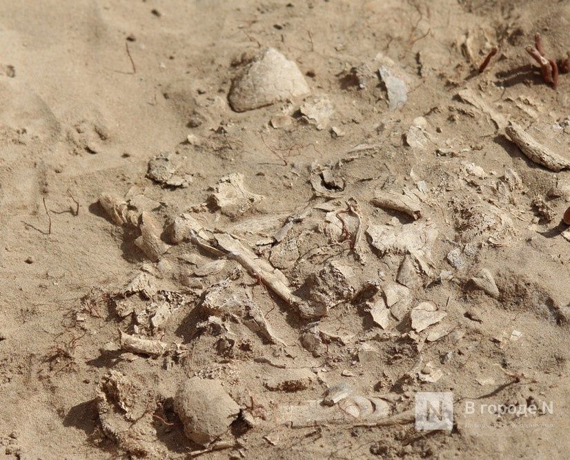 Захоронения IХ века обнаружили археологи под Выксой