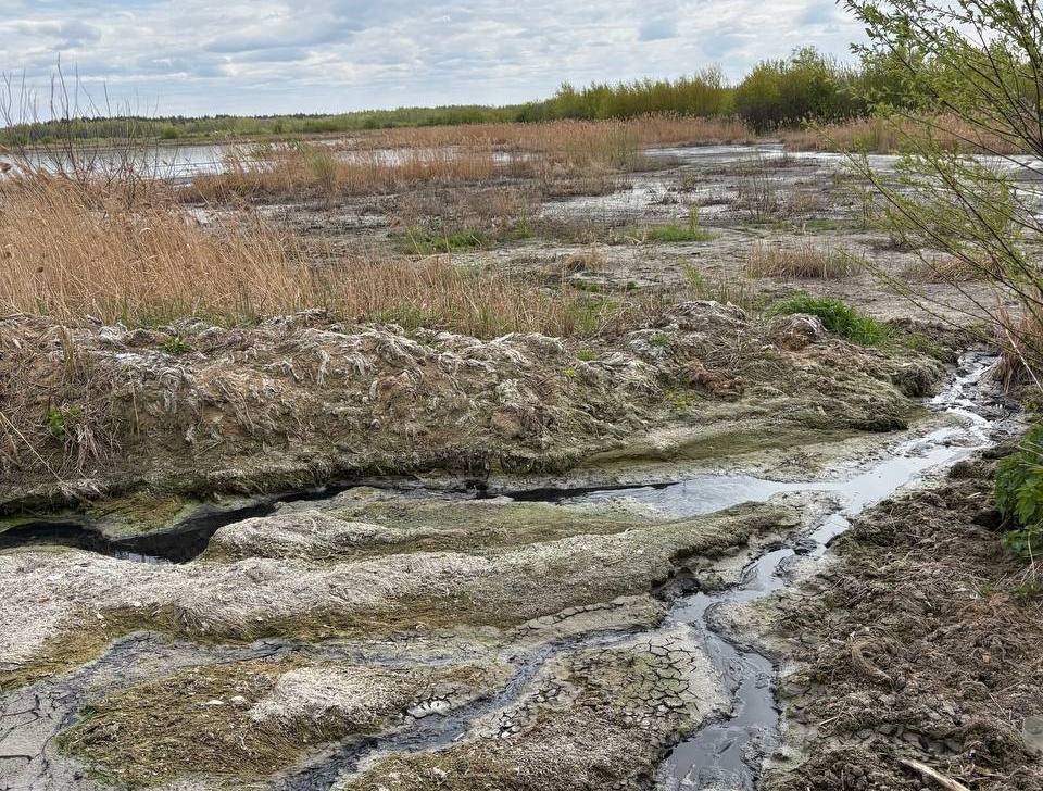 Дзержинский водоканал подозревают  в загрязнении речки Гнилички - фото 1