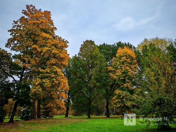 Та самая пушкинская осень: уютный фоторепортаж из Большого Болдина - фото 58