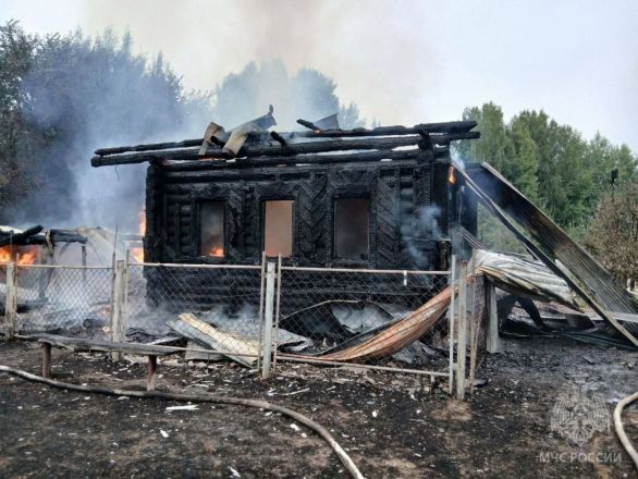 Тело женщины нашли в сгоревшем доме в Нижегородской области - фото 5