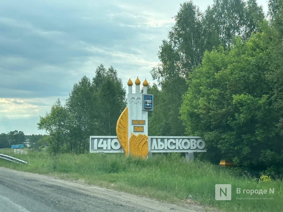 &laquo;Мечтаю увидеть&raquo;: Безруков попросил Никитина преобразить Лысково - фото 1
