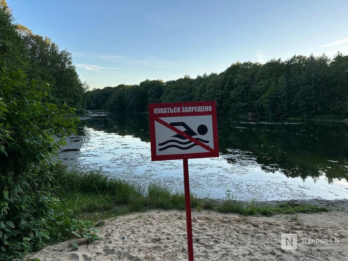 &laquo;Есть риски по сибирской язве&raquo;. Большое интервью с главой нижегородского Роспотребнадзора Наталией Кучеренко - фото 4