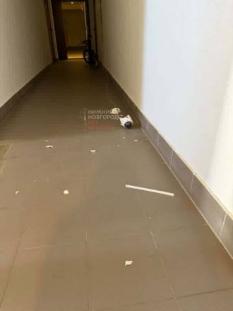 Неадекватный сосед с битой пугает жителей ЖК в Нижнем Новгороде - фото 2