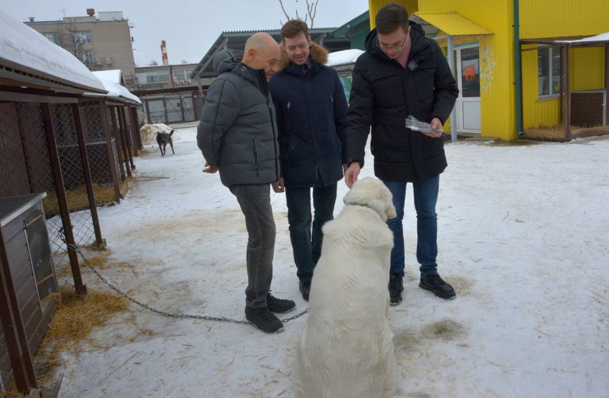 &laquo;Самовыгул&raquo; животных предложено запретить в Нижнем Новгороде - фото 1