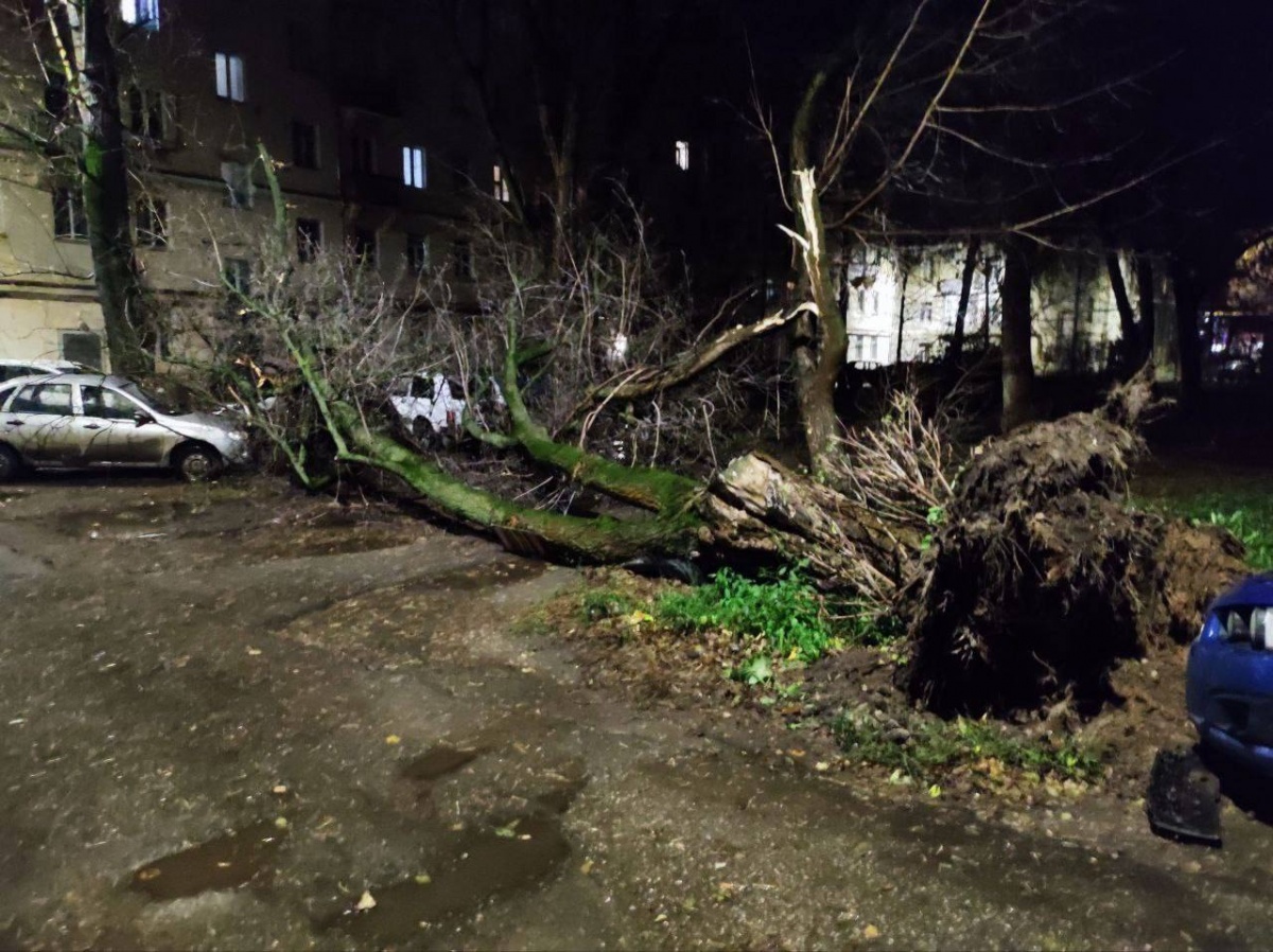 Нижегородцы сообщают об упавших из-за урагана деревьях
