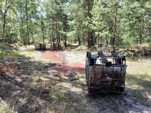 Дело возбуждено из-за разлитых в дзержинском лесу химотходов