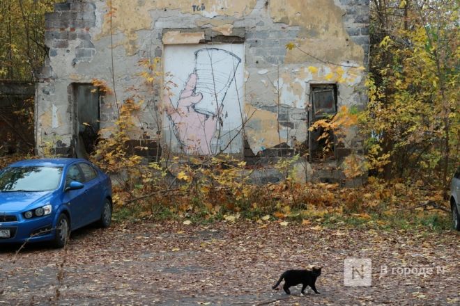 &laquo;Просто существуем&raquo;. Как нижегородцы живут в жутких бараках в районе Бекетова &mdash; фоторепортаж - фото 32