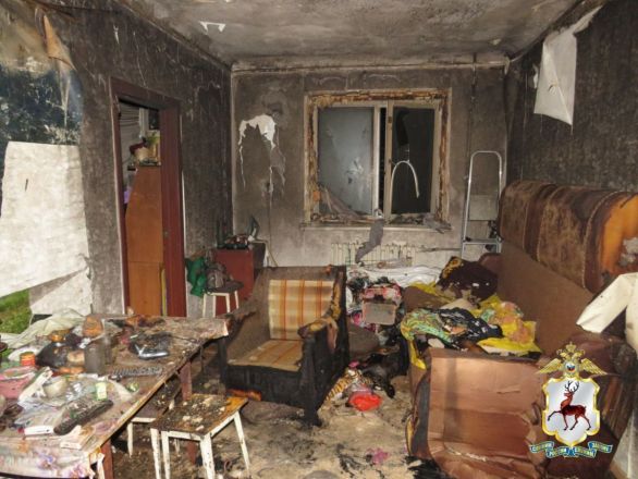 В Нижегородской области пенсионер поджег сожительницу на глазах у внука - фото 3