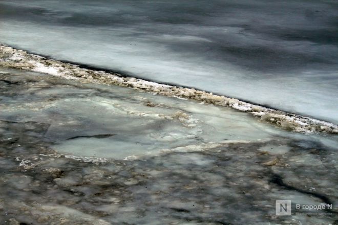 Аномальное потепление в январе: фоторепортаж с улиц Нижнего Новгорода - фото 11