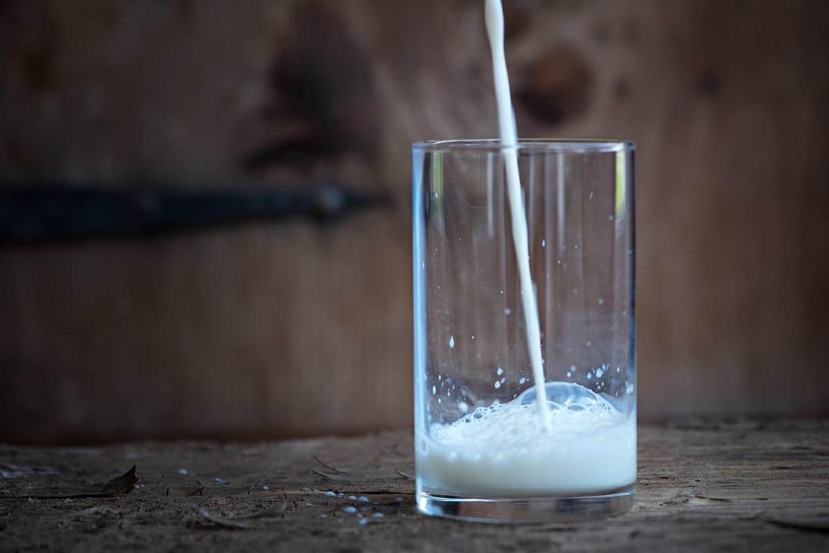 Нижегородские законодатели намерены добиться увеличения штрафов за молочный фальсификат - фото 1